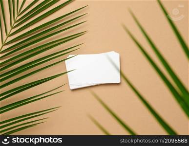 stack of rectangular white paper business cards and a leaf of a palm tree on a brown background. View from above