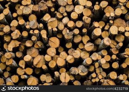 Stack of tree stump for background
