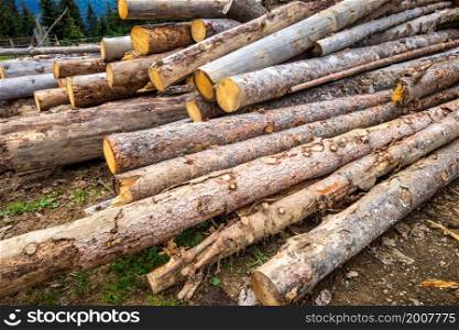 Stack of tree trunks in a mountain forest. Stack of tree trunks