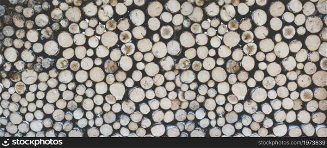 Stack of tree trunks. Texture background wallpaper. Stack of tree trunks. Texture background