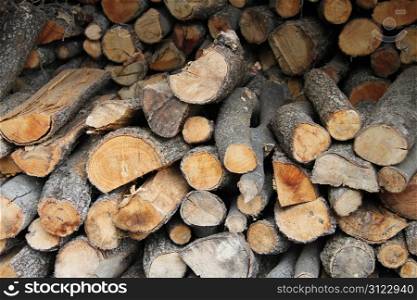 Stacked firewood, stock for the coming winter
