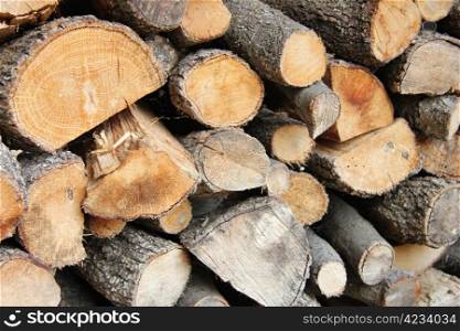 Stacked firewood, stock for the coming winter