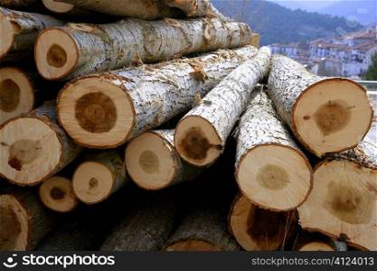 Stacked logs for winter firewood in typical village from Spain