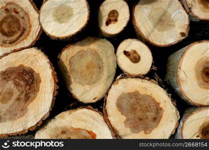Stacked logs for winter firewood, wooden texture background