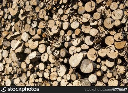 Stacked oak firewood in countryside as background