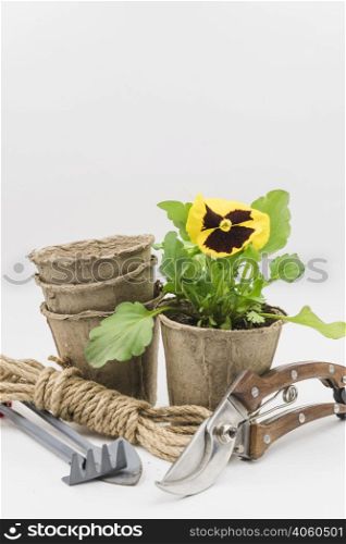stacked peat pots rope bundle gardening tools secateurs isolated white background