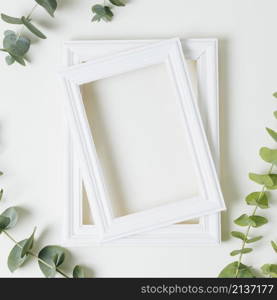 stacked white border frames with green leaves twig white backdrop