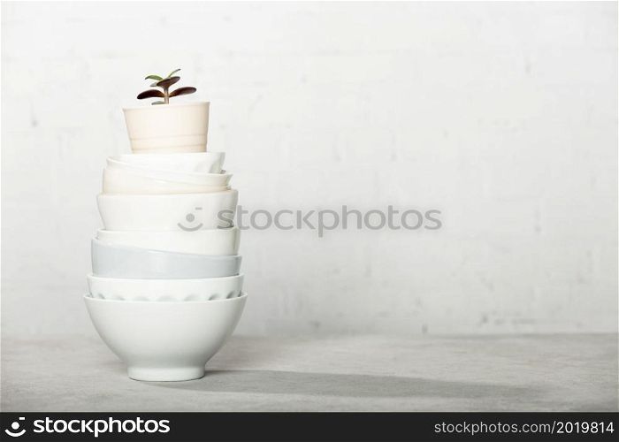 Stacked white clean plates and house plant on the table, space for text