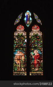 Stained glass window of a church, Eglise St Pierre, Bordeaux, Aquitaine, France