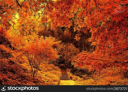 Stair in a autumn park.