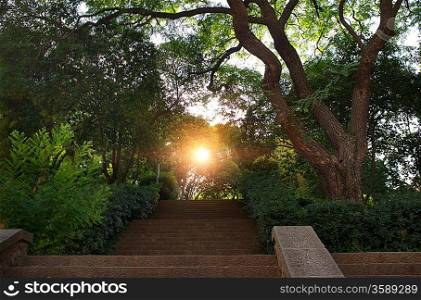 Stair in a beautiful park.
