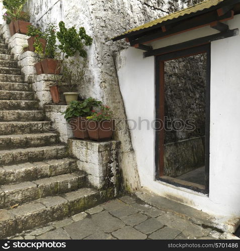 Staircase at Punakha Monastery, Punakha, Bhutan