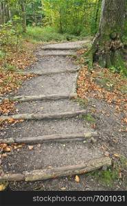 Staircase in a forest in denmark in autumn