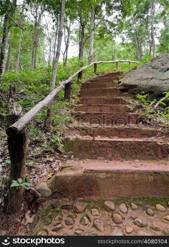Staircase in the jungle