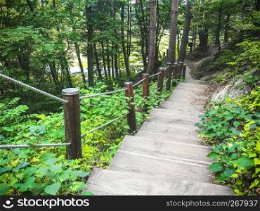 Staircase leading down in the forest. Sokcho city. South Korea