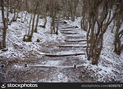 Staircase made of trunks in a forest in winter.