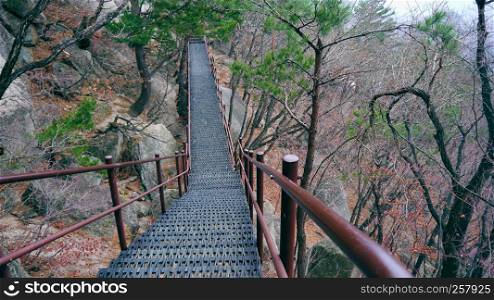 Stairs in the mountains. Seoraksan National Park. South Korea