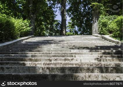 Stairs in the Park. Green park