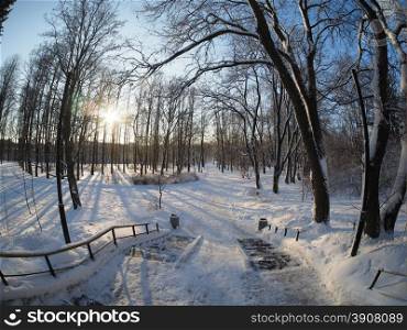 stairs in the park in winter