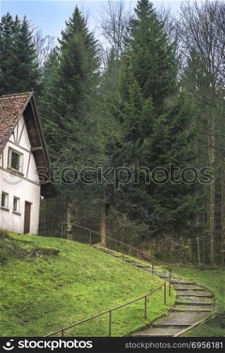 Stairs leading towards an abandoned old german house in the woods, in the Black Forest, near Schluchsee and Freiburg Breisgau, Germany.