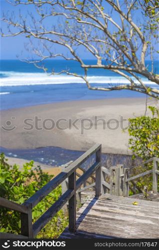 Stairs to a tropical beach with exotic plants and palm trees
