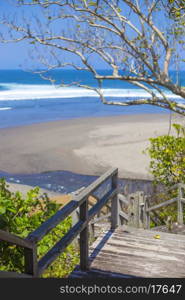 Stairs to a tropical beach with exotic plants and palm trees