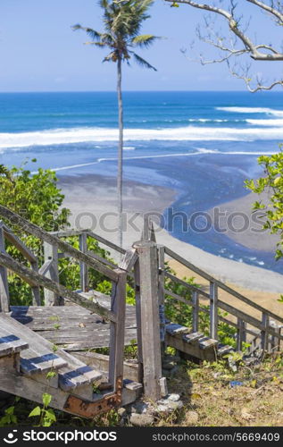 Stairs to a tropical beach with exotic plants and palm trees