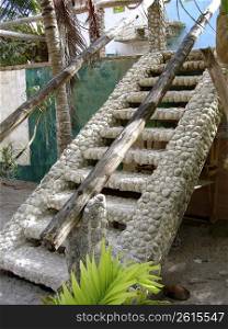 stairway buit with brain coral in caribbean mexico area