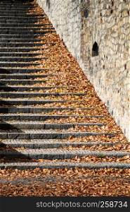 stairway covered with colorful fallen leaves.