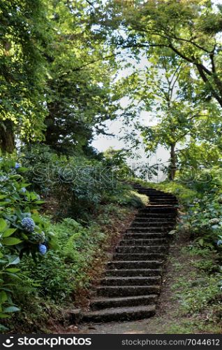 Stairway on a hill in the botanic park