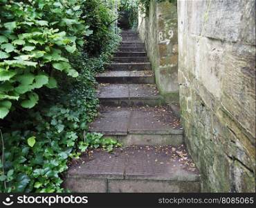 Stairway to Alexandra Park in Bath. Stairway leading to Alexandra Park in Bath, UK
