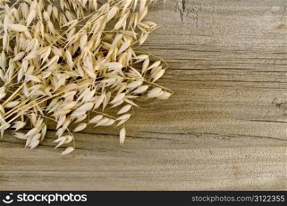 Stalks of oats on the background of the old wooden boards