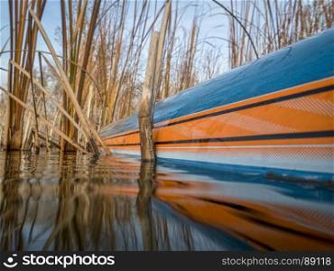Stand up paddleboard and reeds on a calm lake, fall scenery with a low angle view