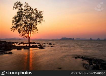 Standing tree, sunset, and motion wave art dusk of Koh Kwang island around Klong muang and Tub kaek beach in Krabi, Thailand. Famous travel destination of Thai summer vacation. Motion seascape..