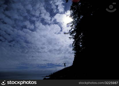 Standing Triumphantly Under A Cloudy Blue Sky On A Point Overlooking Vast Waters