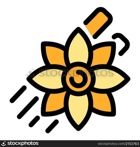 Star anise icon. Outline star anise vector icon color flat isolated. Star anise icon color outline vector