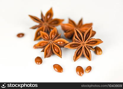 Star Anise isolated on white background herbs and spices for cooking food / Close up fresh anise star seeds