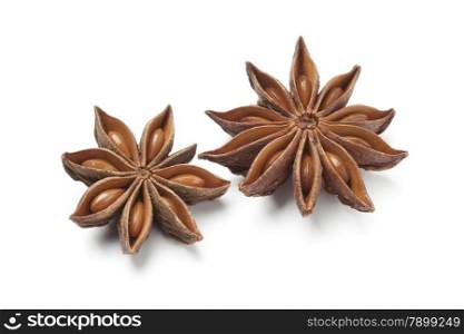 Star anise seed on white background