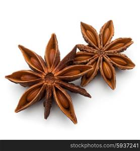 Star anise spice fruit and seeds isolated on white background closeup