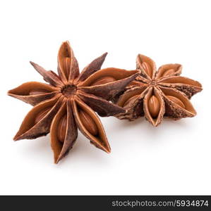 Star anise spice fruits and seeds isolated on white background closeup