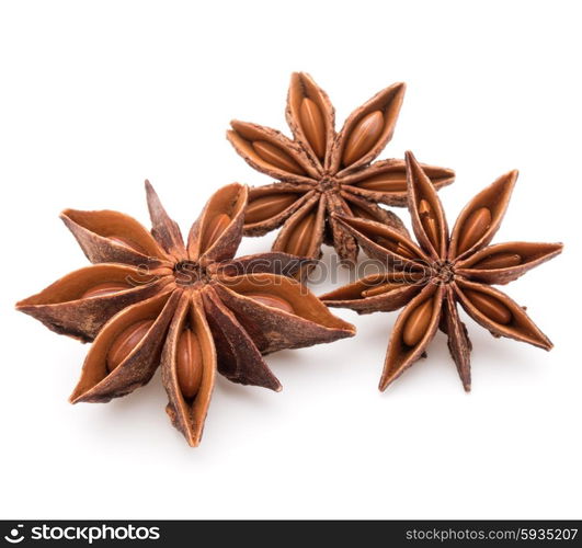 Star anise spice fruits and seeds isolated on white background closeup