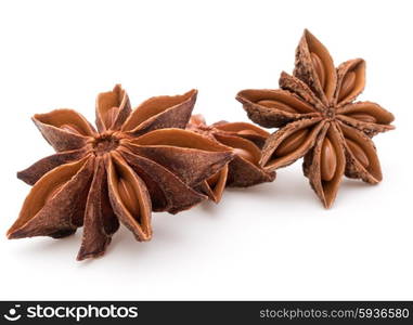 Star anise spice fruits and seeds isolated on white background closeup