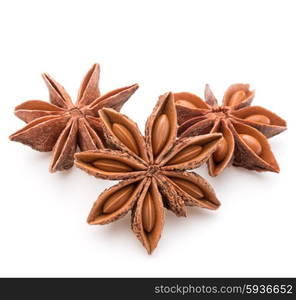 Star anise spice fruits and seeds isolated on white background closeup