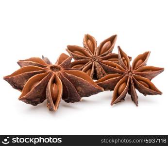Star anise spice fruits and seeds isolated on white background closeup