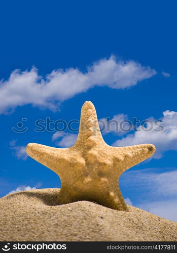 star fish and sand on blue sky background