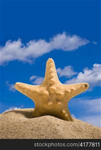 star fish and sand on blue sky background