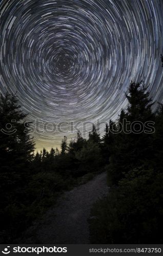 Star trails in the spruce woods atop the summit of Spruce Knob, the highest point of elevation in West Virginia.