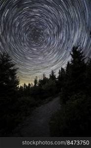 Star trails in the spruce woods atop the summit of Spruce Knob, the highest point of elevation in West Virginia.