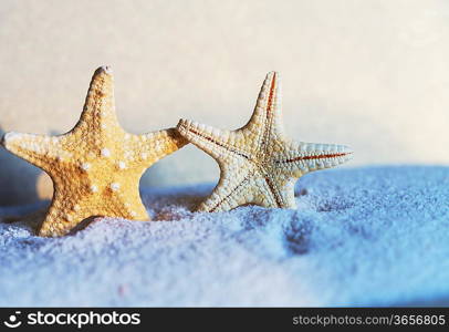 Starfish