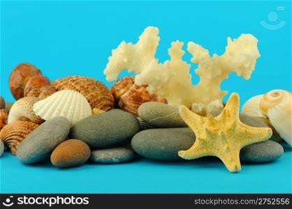 Starfish and set of objects of the sea underwater world. On isolated blue background